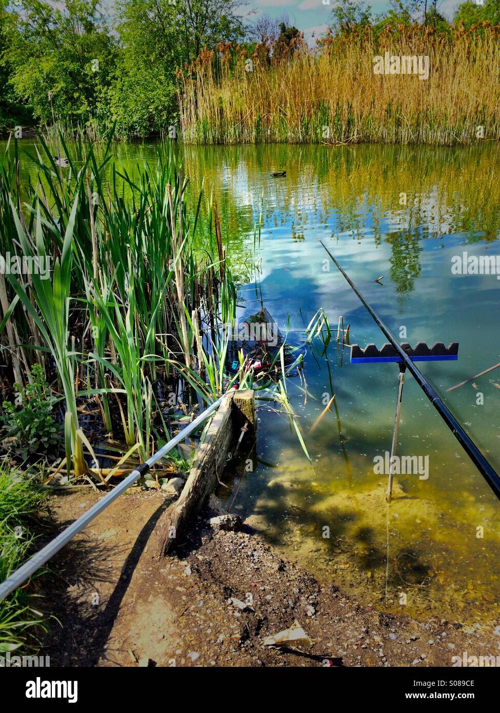 Course fishing spot a lake Stock Photo