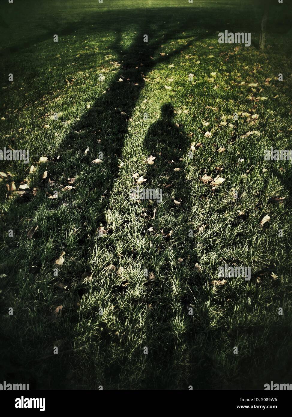 Shadow of person and shadow of tree - Smartphone Captured Stock Image