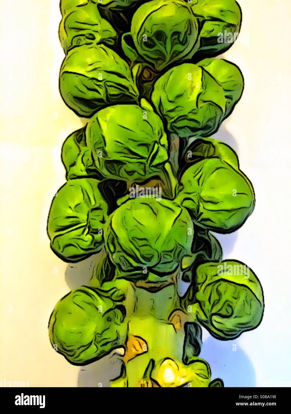 Creative effect on sprout stalk - Smartphone Captured Stock Image