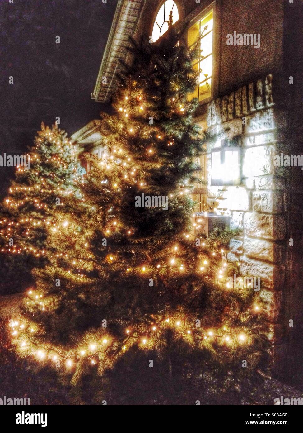 Golden light decorating trees outside of an entryway. - Smartphone Captured Stock Image