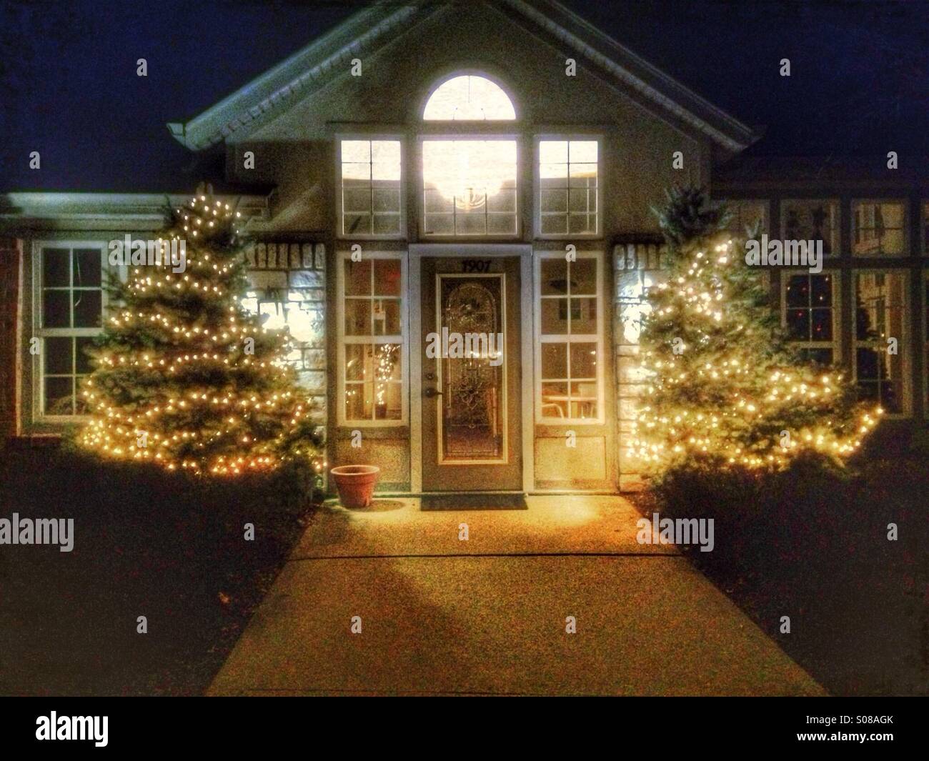 An entry flanked by lit trees. - Smartphone Captured Stock Image