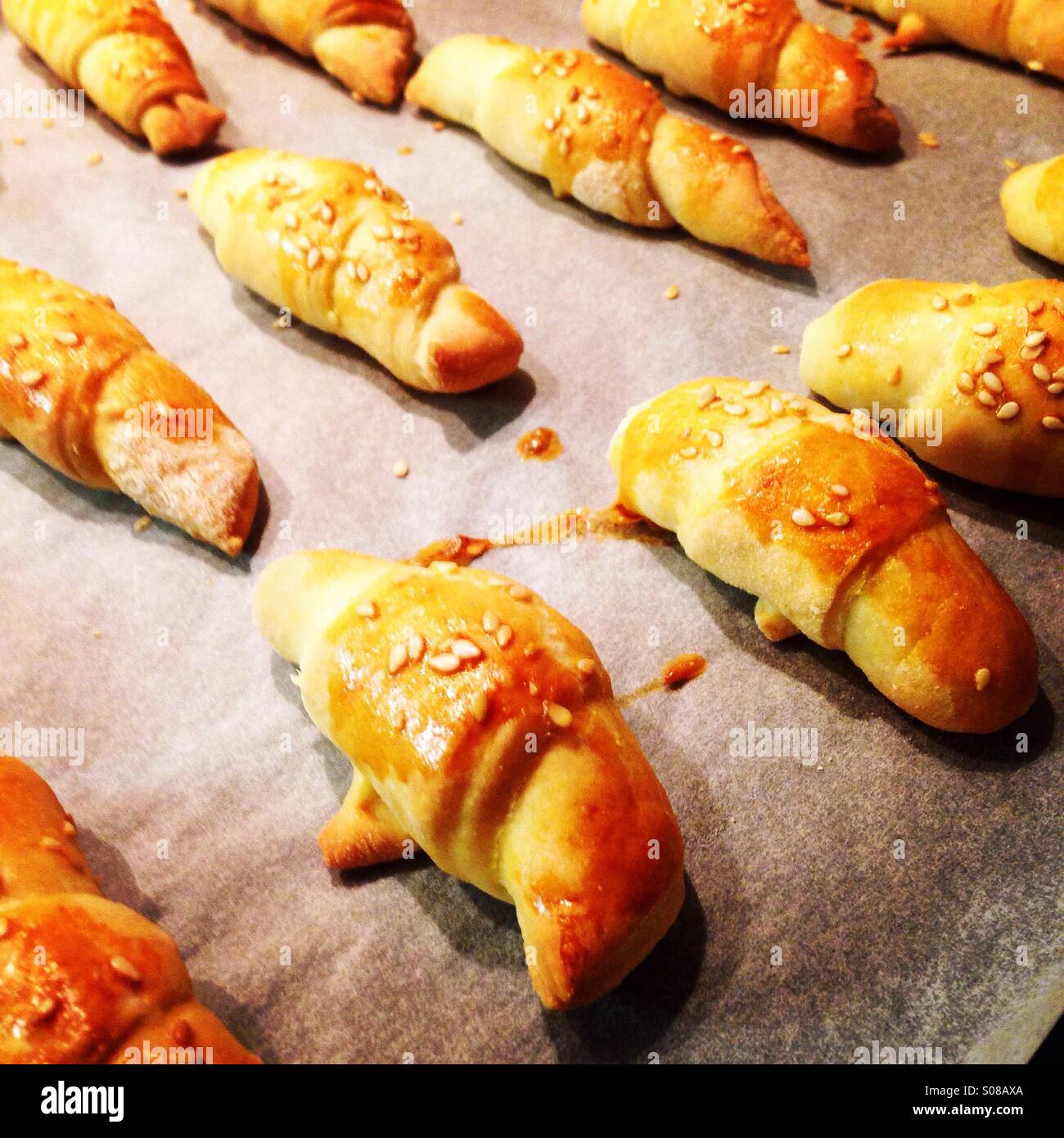 Fresh baked pastry rolls close up Stock Photo