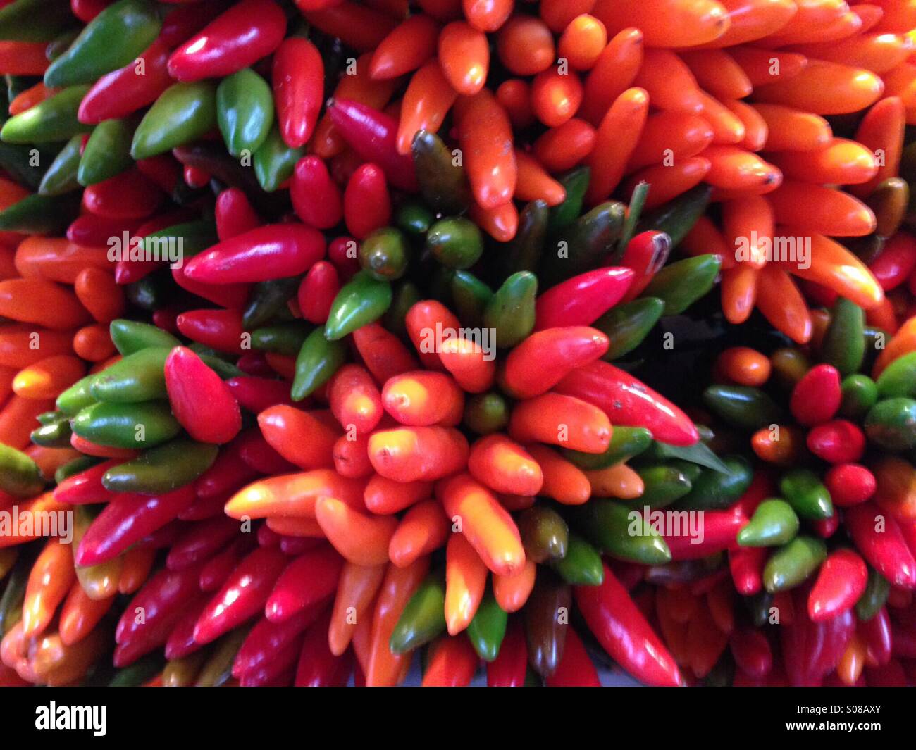 Hot chile peppers in an Italian market - Smartphone Captured Stock Image