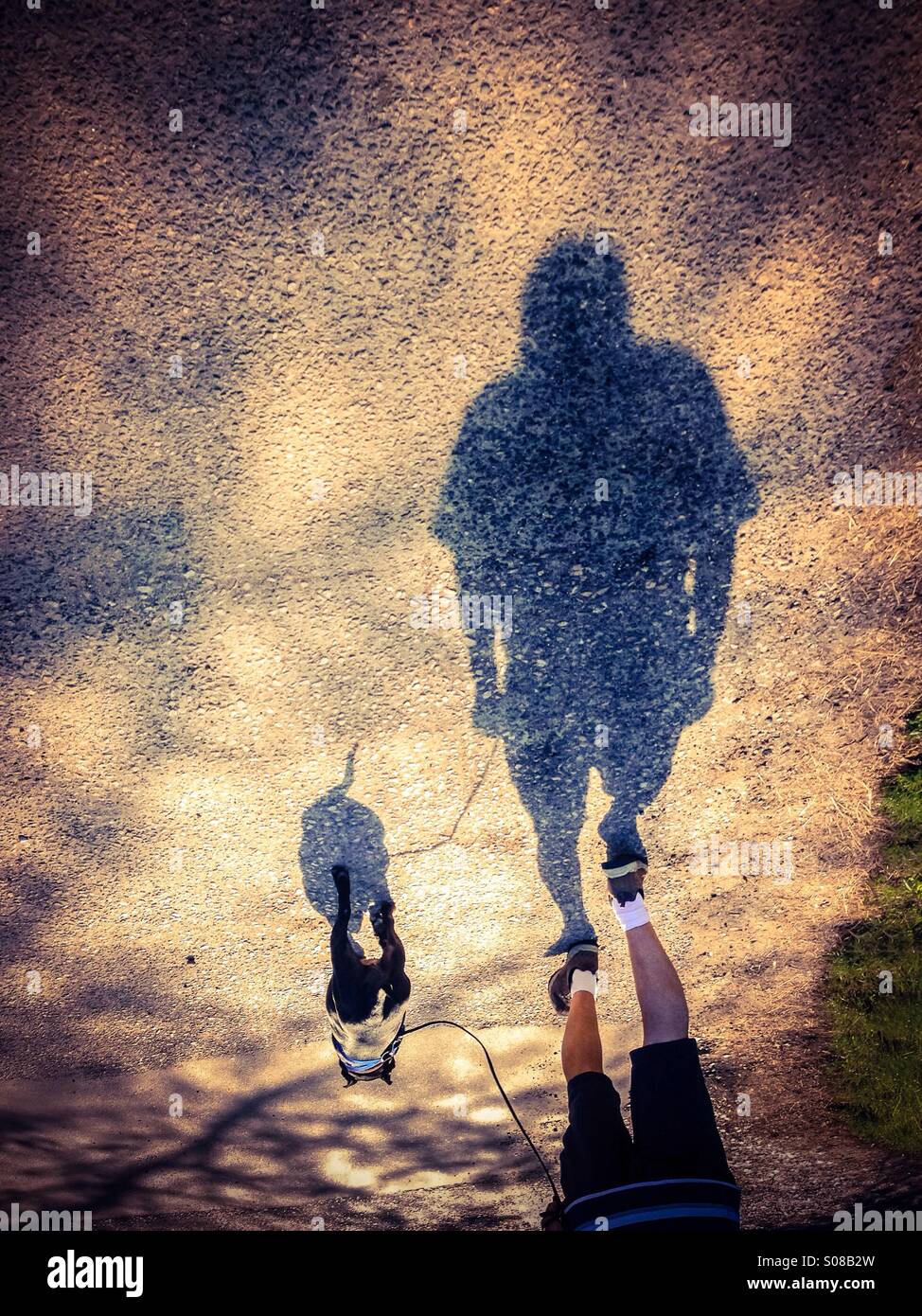 Shadows walking the dog - Smartphone Captured Stock Image