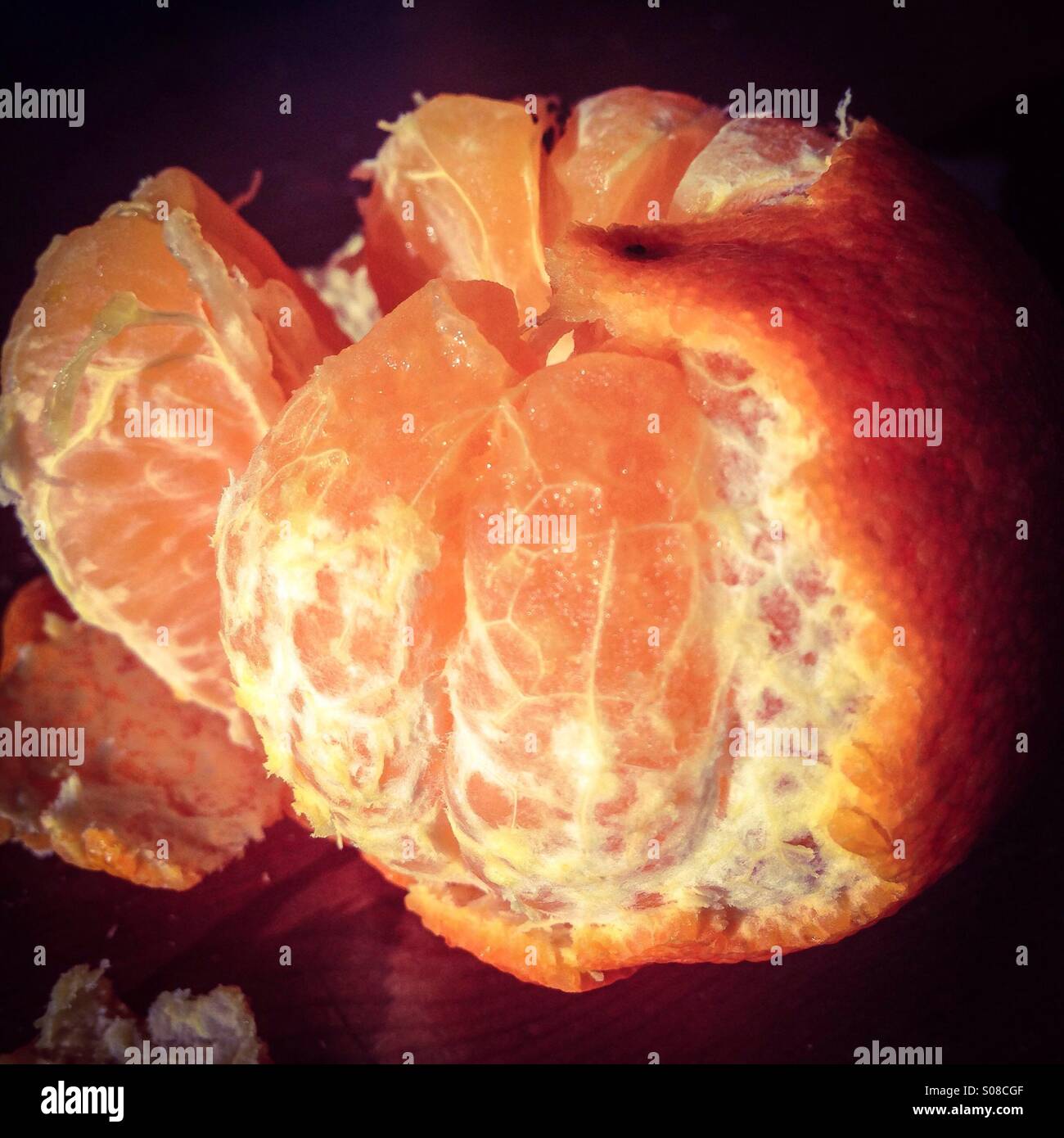 Clementine half peeled in the sunshine - Smartphone Captured Stock Image