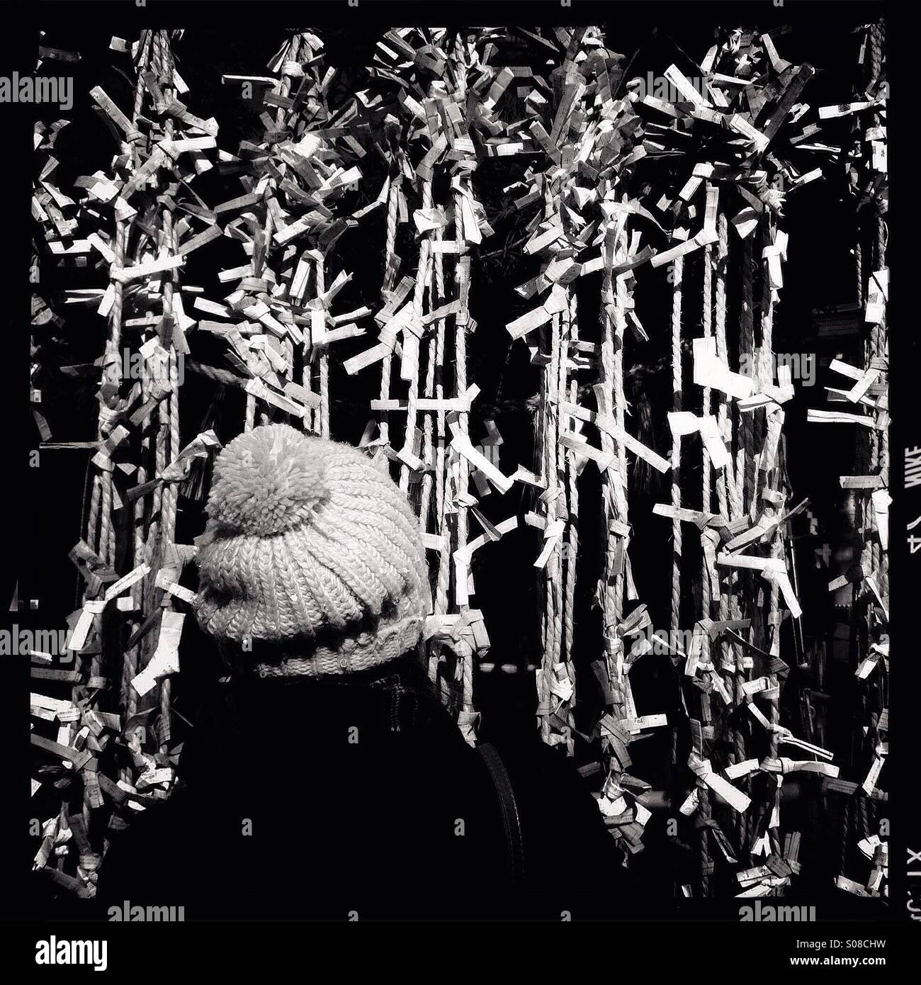 Fortune cookie japan hires stock photography and images Alamy