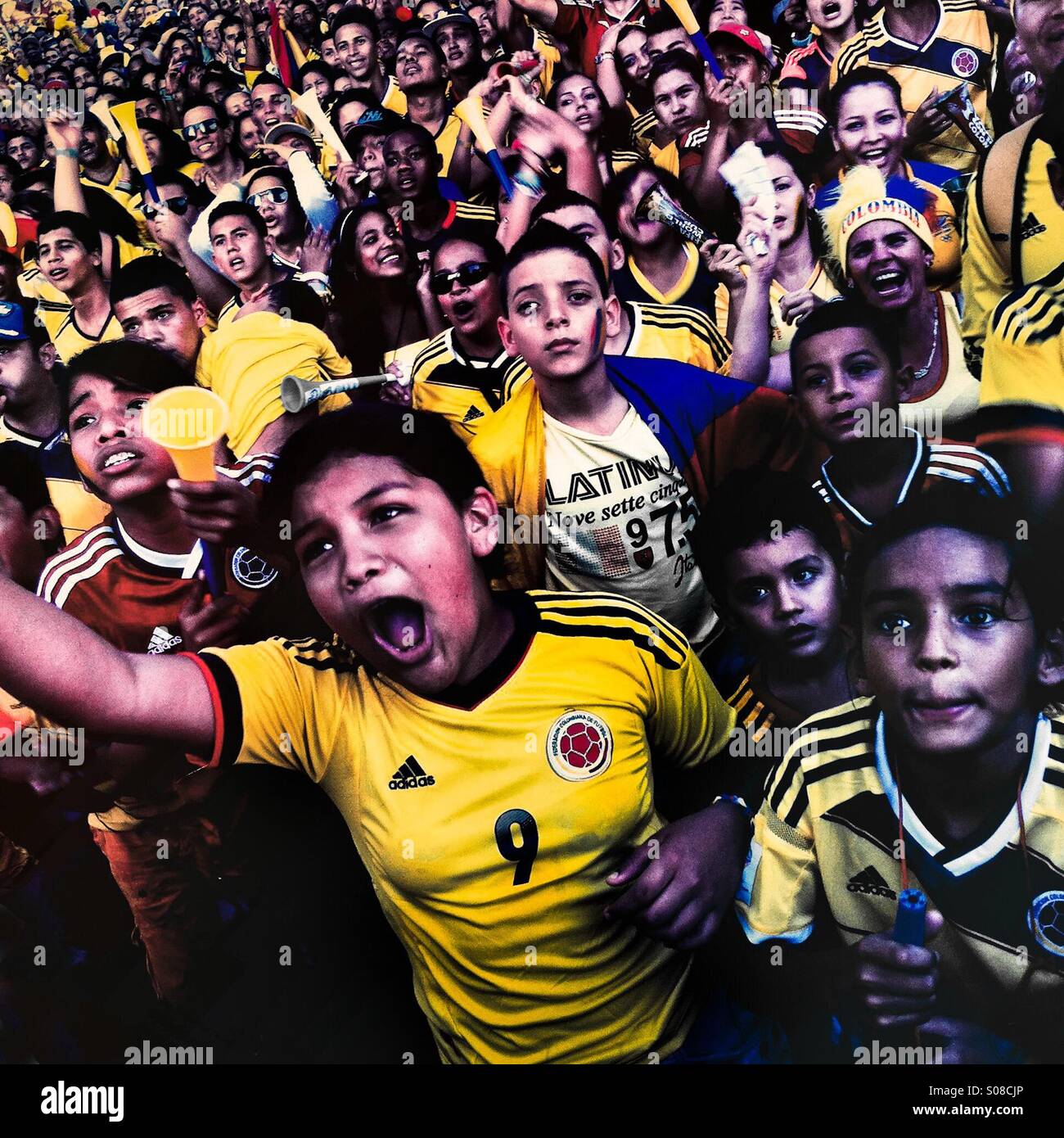 Colombia football fans cheer while watching the match between Colombia and Uruguay at the FIFA World Cup 2014, in a park in Cali, Colombia, 28 June 2014. Stock Photo