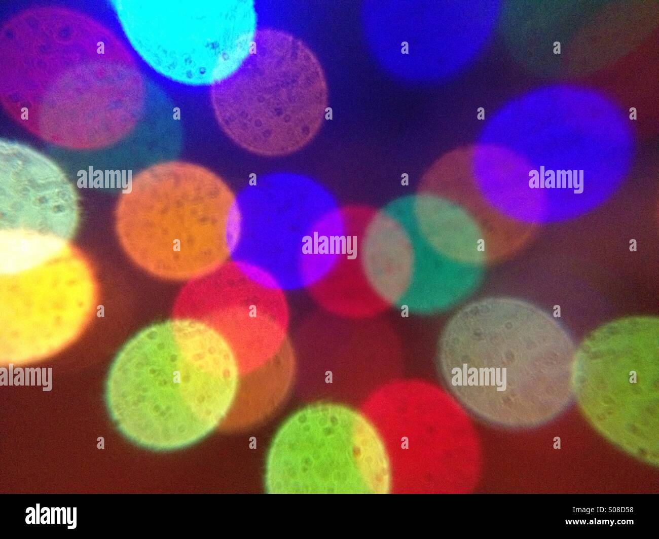 Christmas tree lights - Smartphone Captured Stock Image