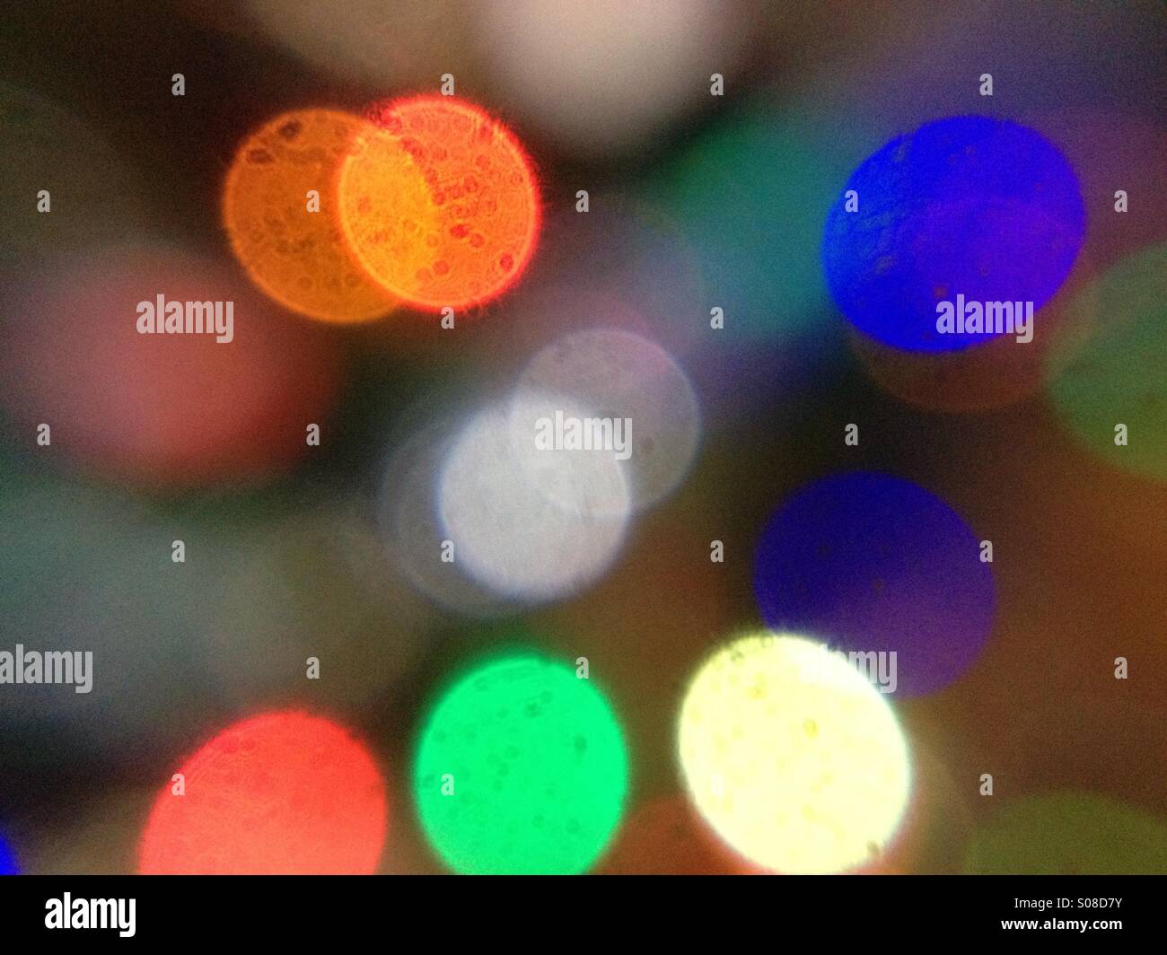 Christmas tree lights - Smartphone Captured Stock Image