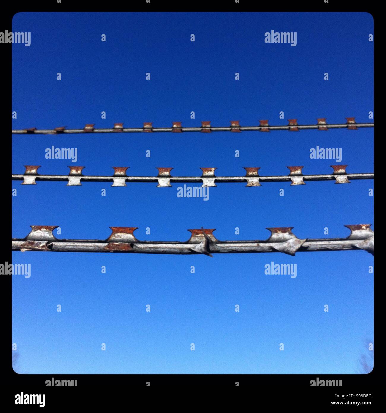 Razor wire barbed wire - Smartphone Captured Stock Image