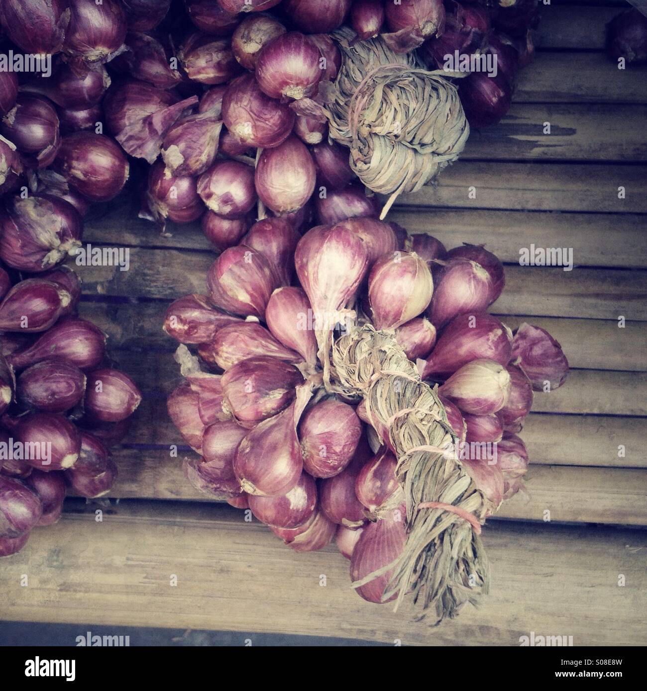 Onions - Smartphone Captured Stock Image