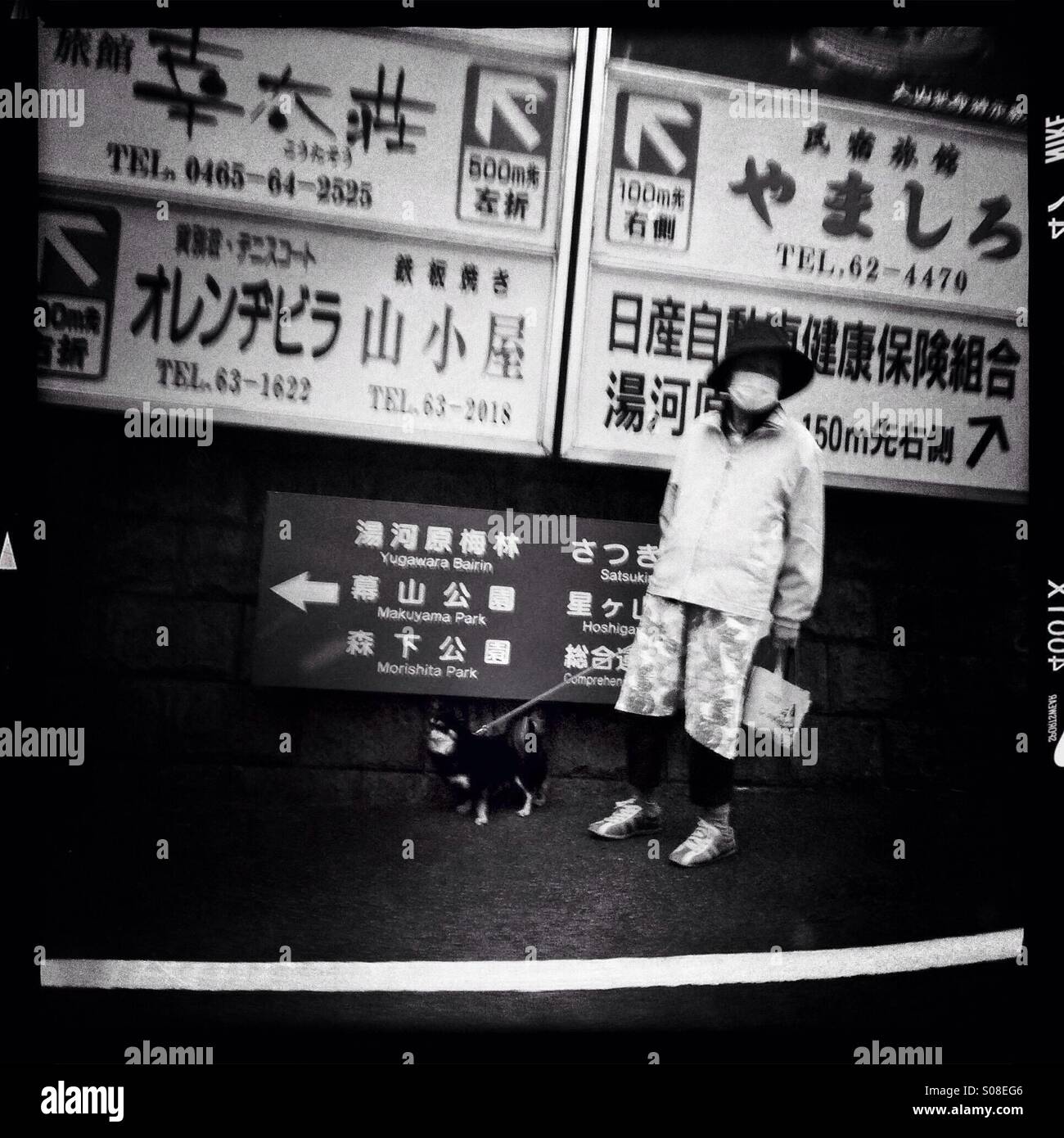 A dog walker in Kanagawa prefecture in Japan. Stock Photo
