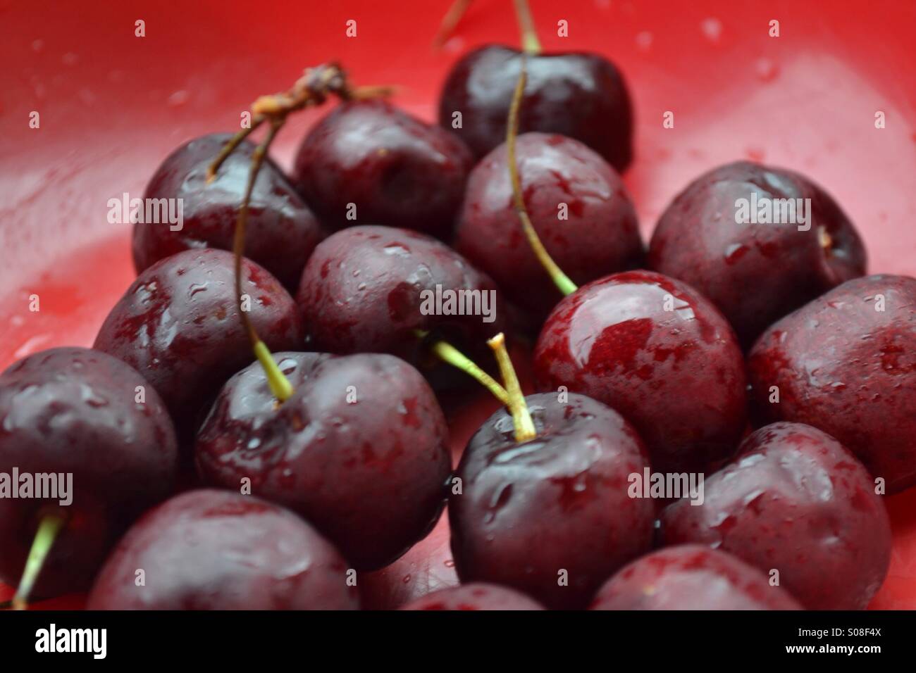 Cherries in red bowl Stock Photo