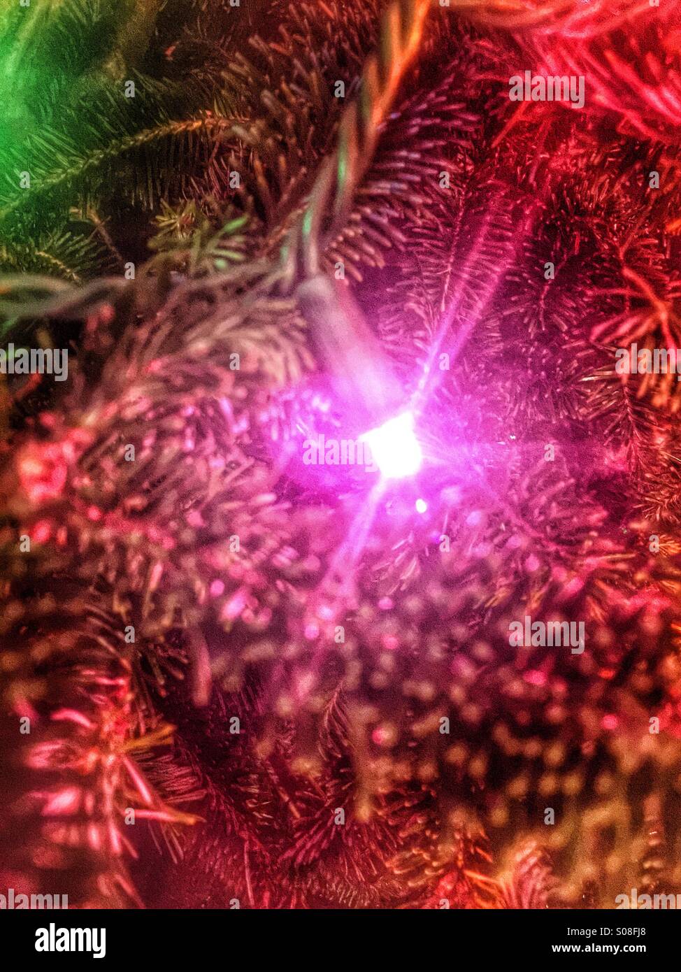 A single light shines on a tree Stock Photo