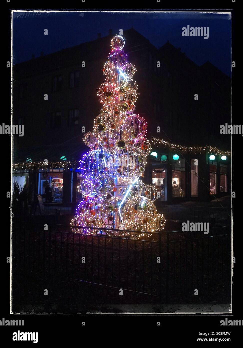 Outdoor christmas tree uk hires stock photography and images Alamy
