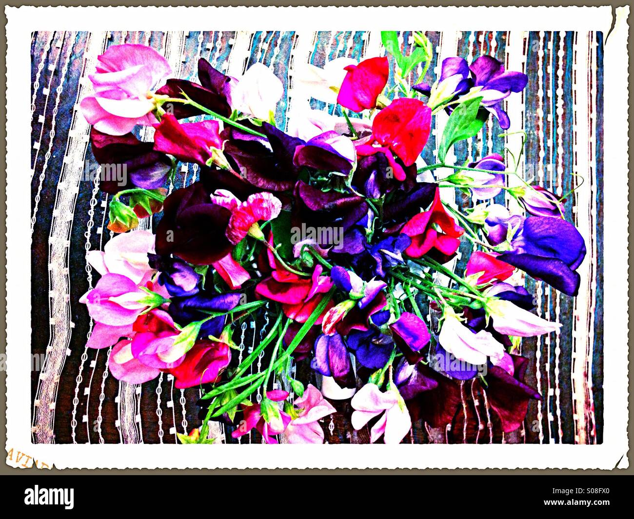 Some flowers with a little editing Stock Photo Alamy