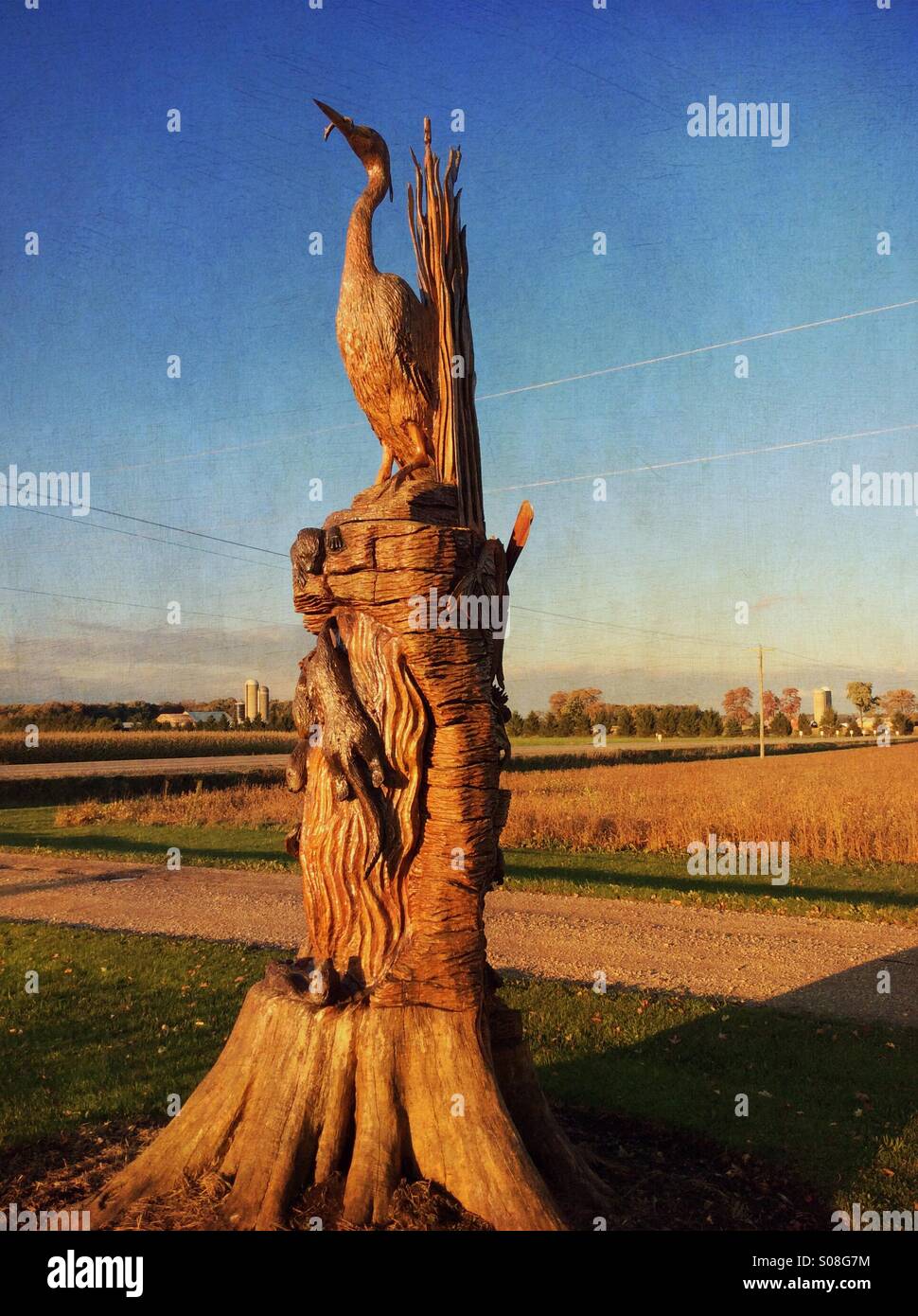 Heron - Smartphone Captured Stock Image