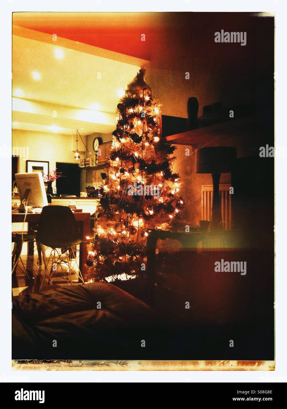 Golden Christmas tree glowing in festive home interior with kitchen beyond, cosy lifestyle scene in warm light: Phillip Roberts - Smartphone Captured Stock Image