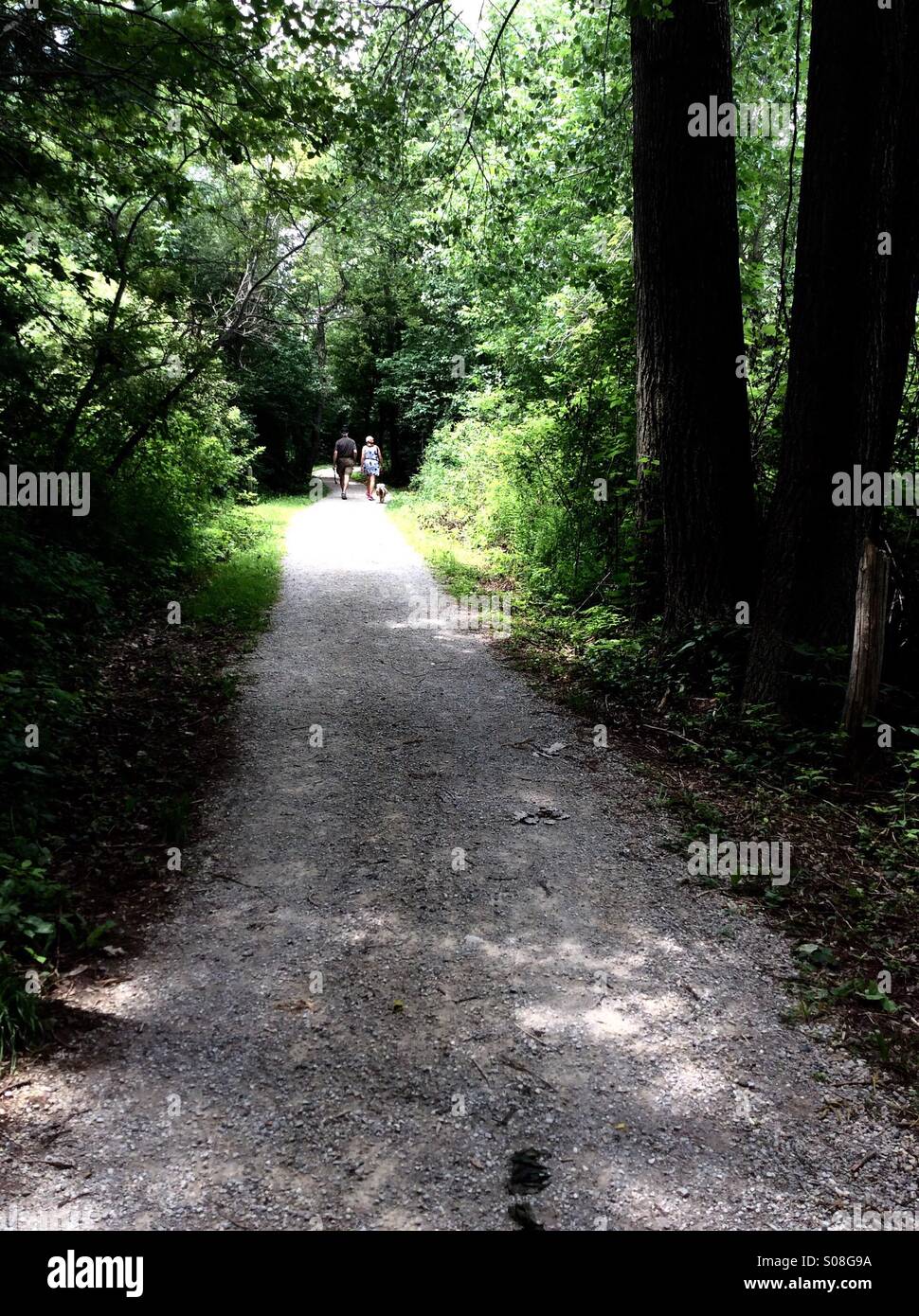 Elderly couple and dog on a path through the woods, Ontario, Canada - Smartphone Captured Stock Image