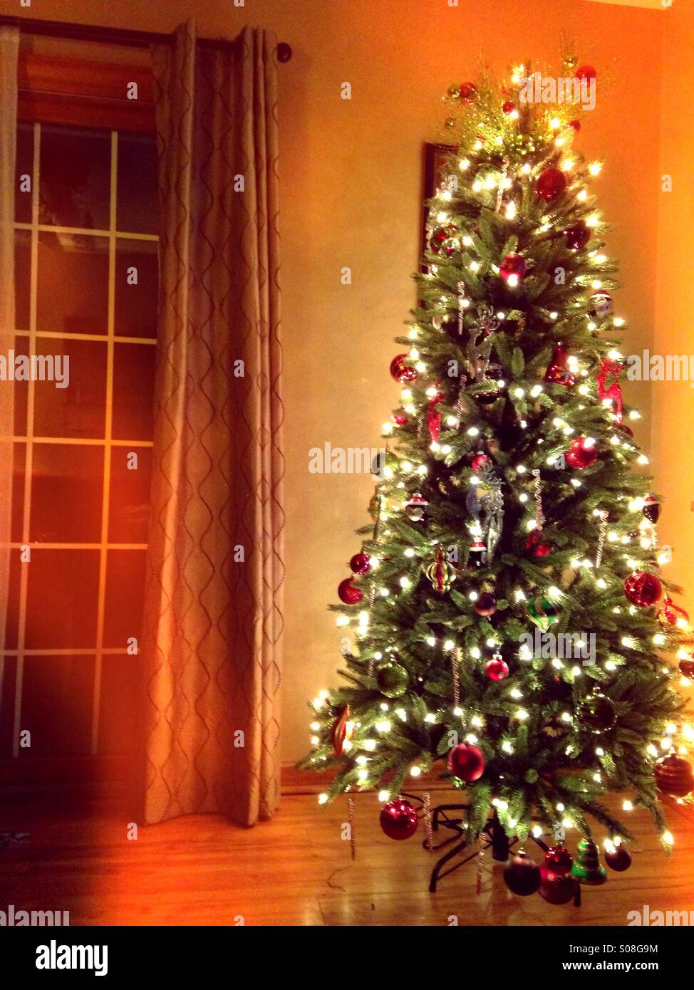 A Christmas tree fully lit. - Smartphone Captured Stock Image
