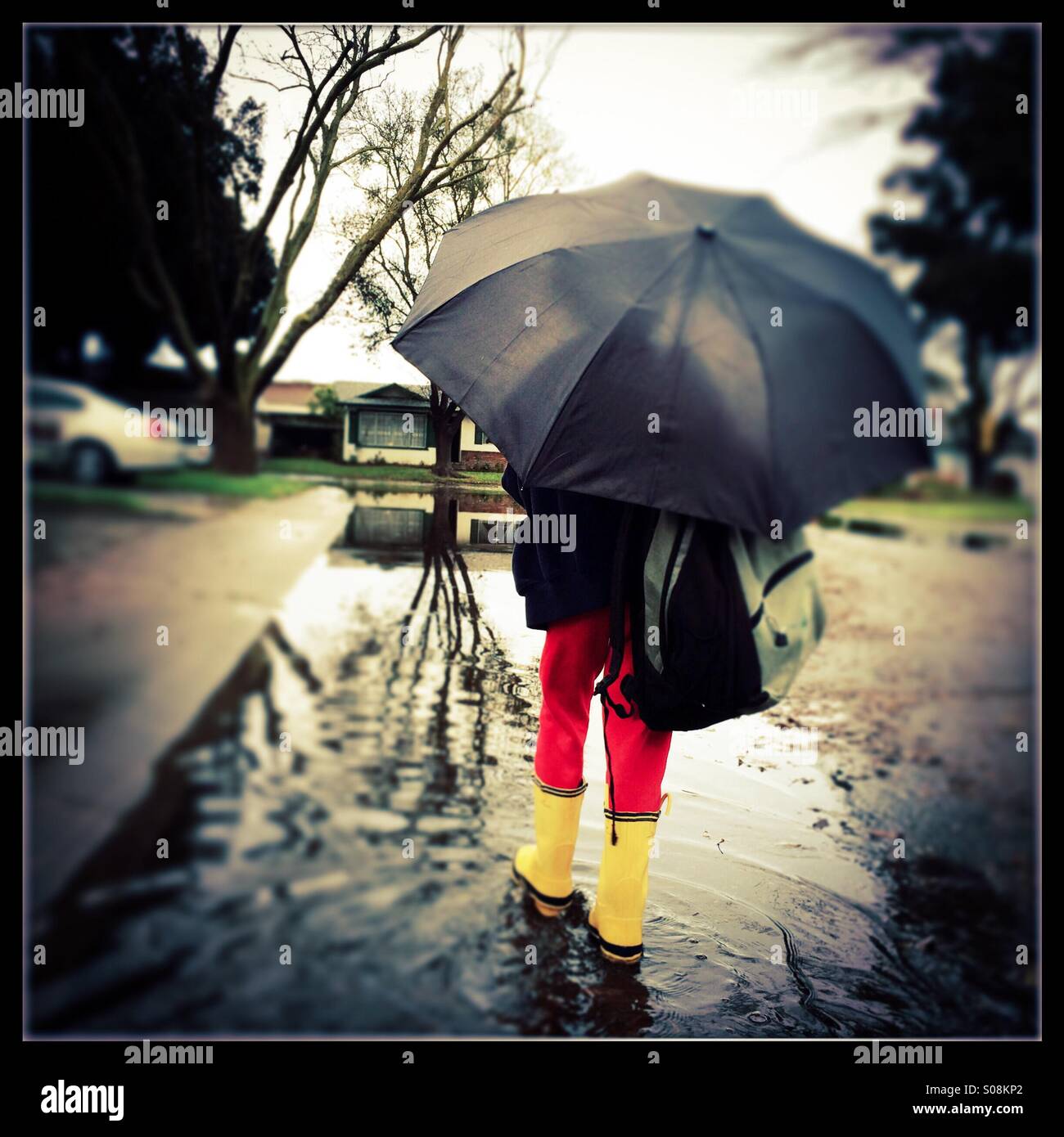 A six year old boy with a school bag holding an umbrella and wearing rain boots walks through a flooded street on the way to school. - Smartphone Captured Stock Image