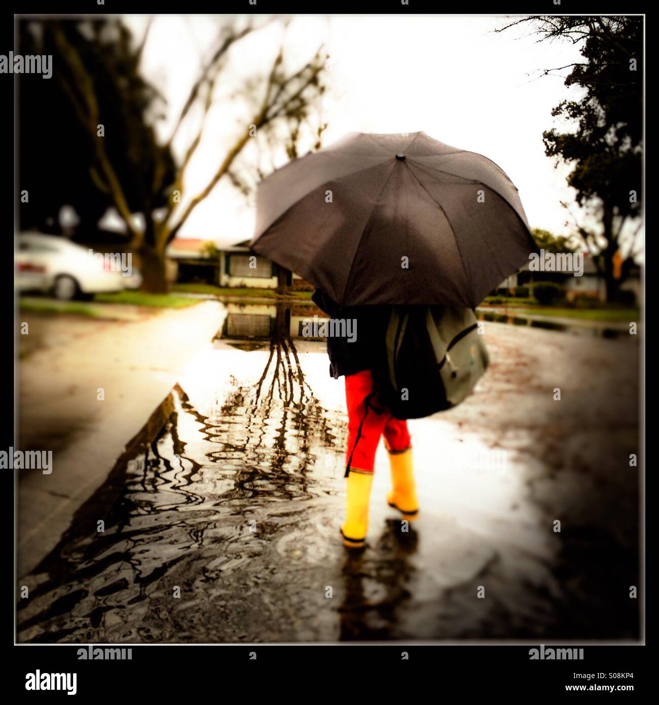 A six year old boy with a school bag holding an umbrella and wearing rain boots walks through a flooded street on the way to school. - Smartphone Captured Stock Image