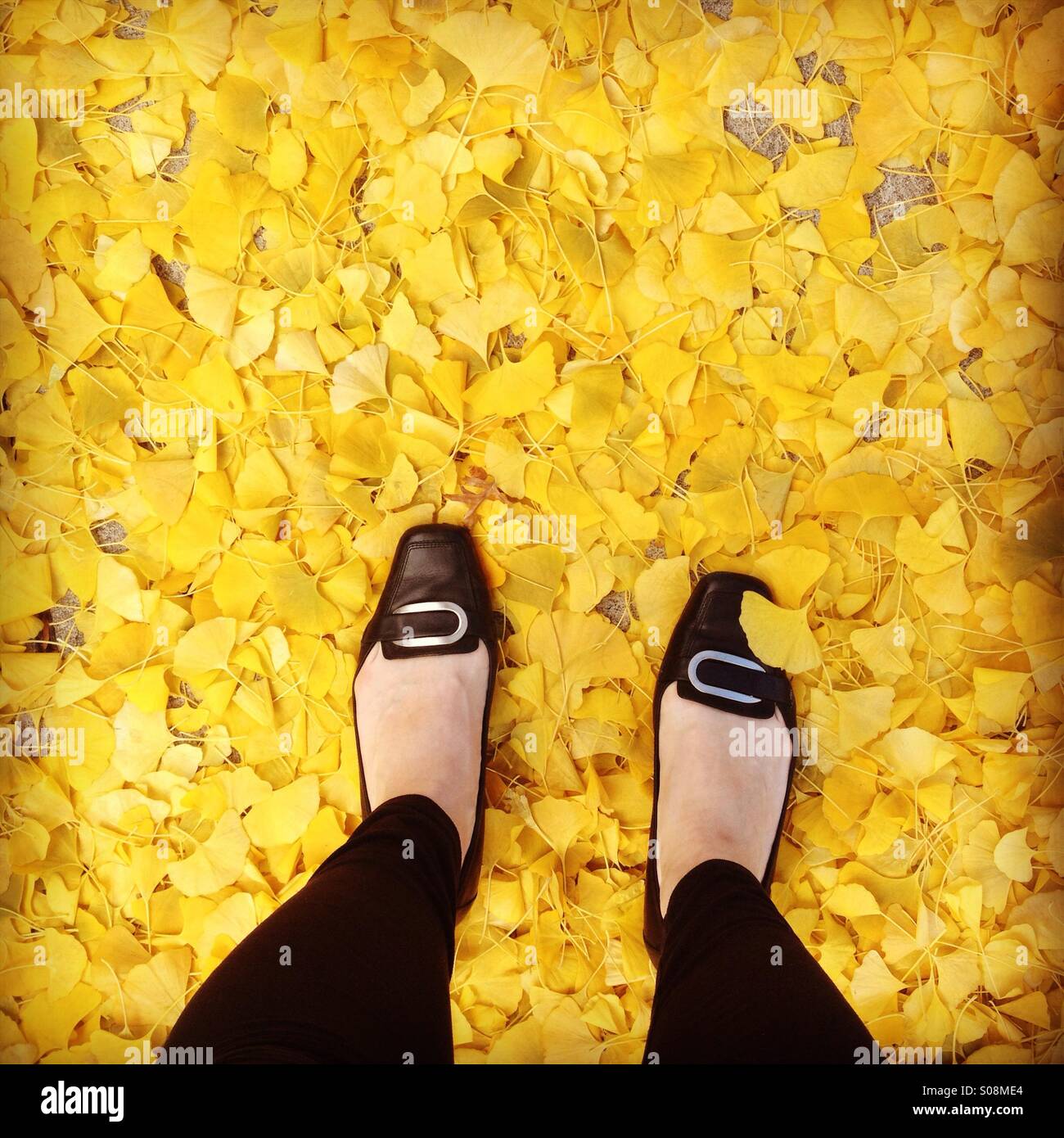 Woman s Feet In A Pile If Yellow Leaves Stock Photo Alamy woman-s-feet-in-a-pile-if-yellow-leaves-stock-photo-alamy