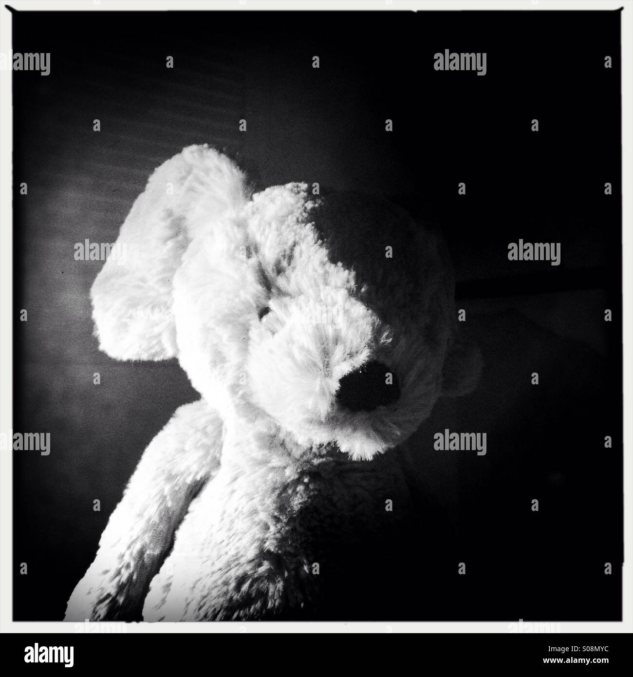 Cuddly toy - Smartphone Captured Stock Image