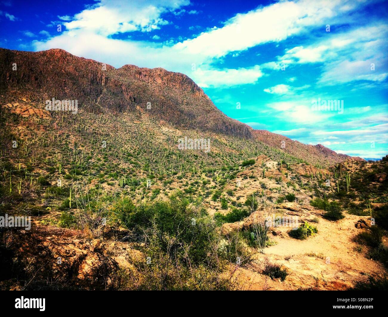 Tucson Arizona Stock Photo