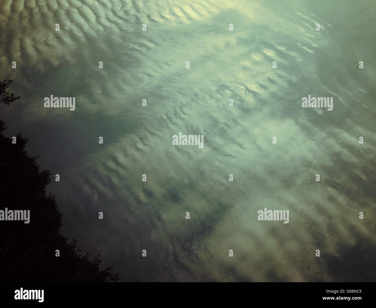 Cloud mesh with sunlight - Smartphone Captured Stock Image