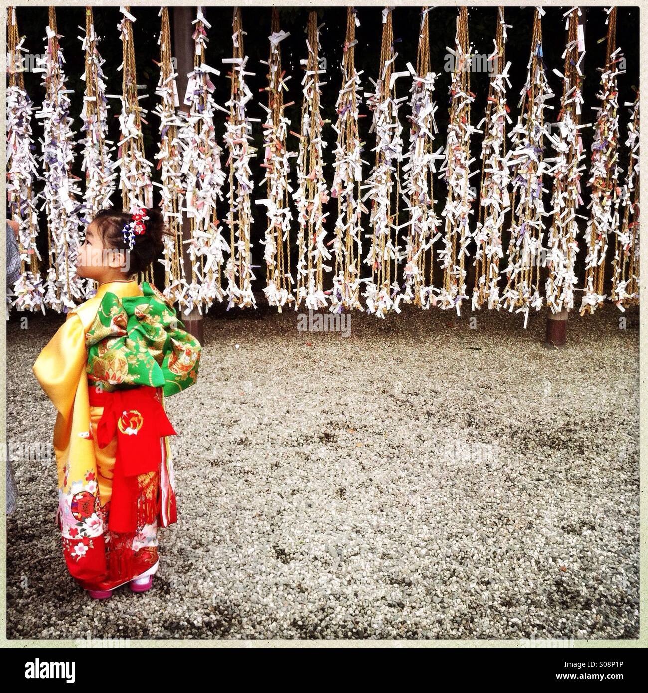 A Japanese girl dressed in traditional kimono for Shichi-Go-San, Japanese traditional event to celebrate the growth of children. Stock Photo