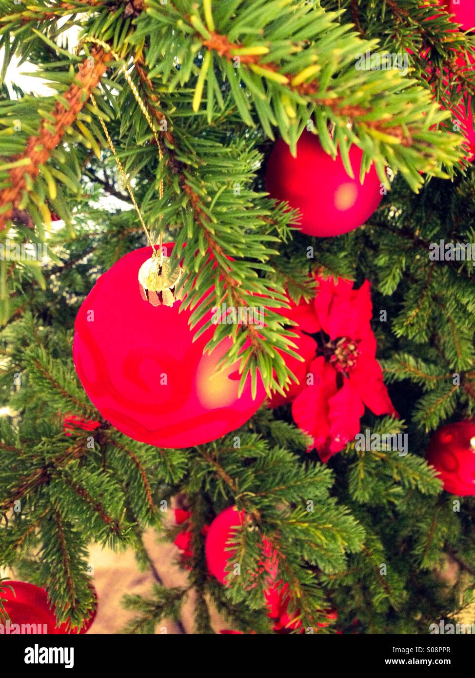 Christmas tree with red decoration Stock Photo