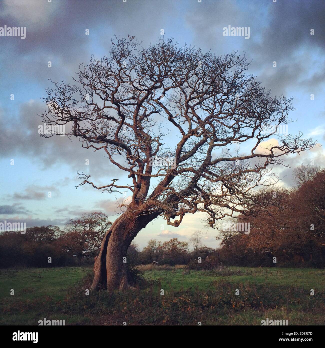 gnarly tie dye shirt