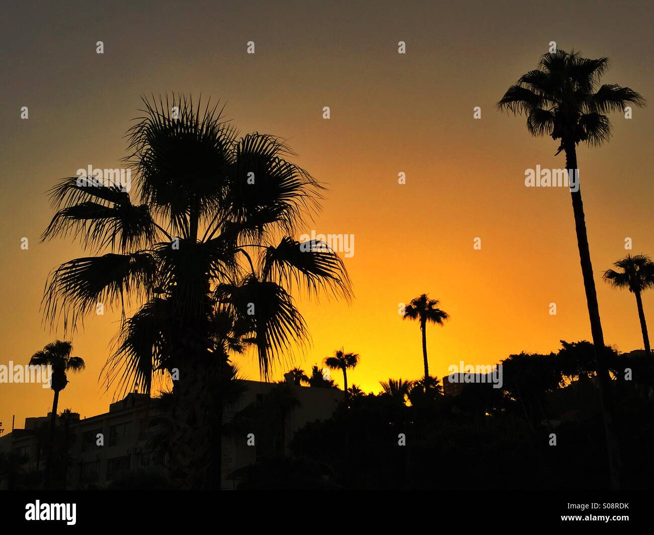 Sunrise in Beirut Lebanon - Smartphone Captured Stock Image