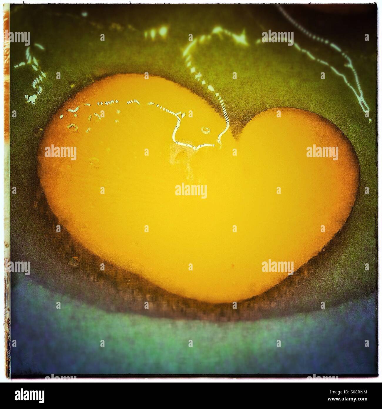 Heart shape of an egg yolk - Smartphone Captured Stock Image