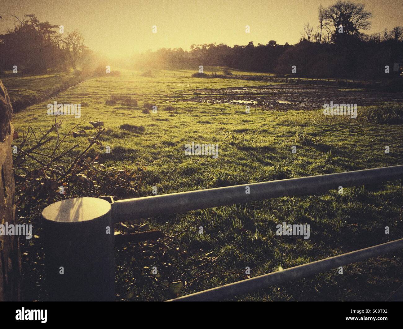 Open grass field behind gate Stock Photo