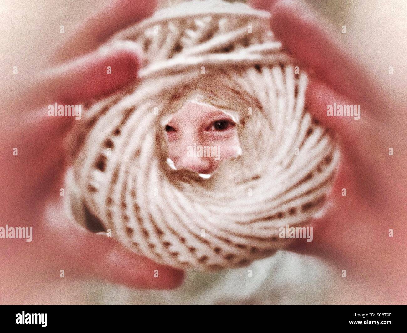 Roll of string Stock Photo - Alamy
