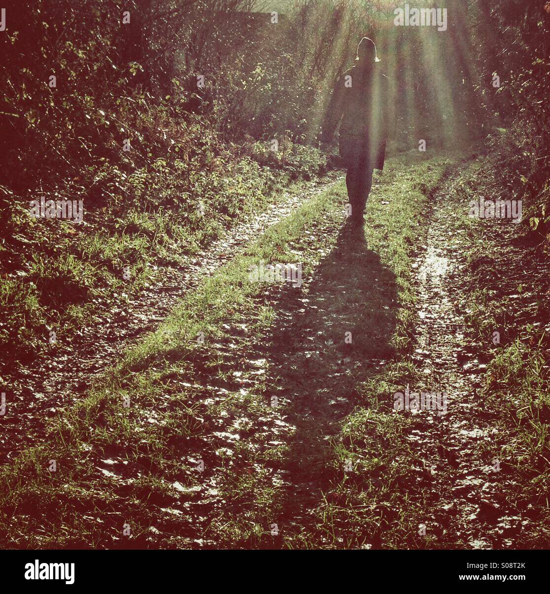 Walking in the Suns Rays - Smartphone Captured Stock Image