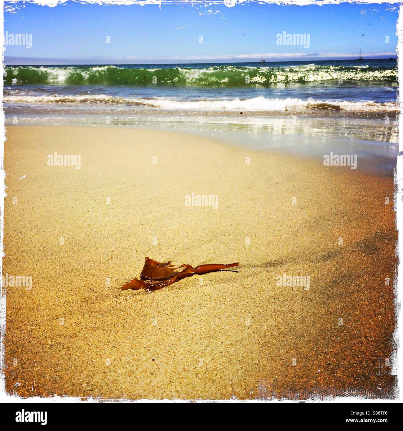 Sand and surf at Seabright State Beach. Santa Cruz, California, USA ...