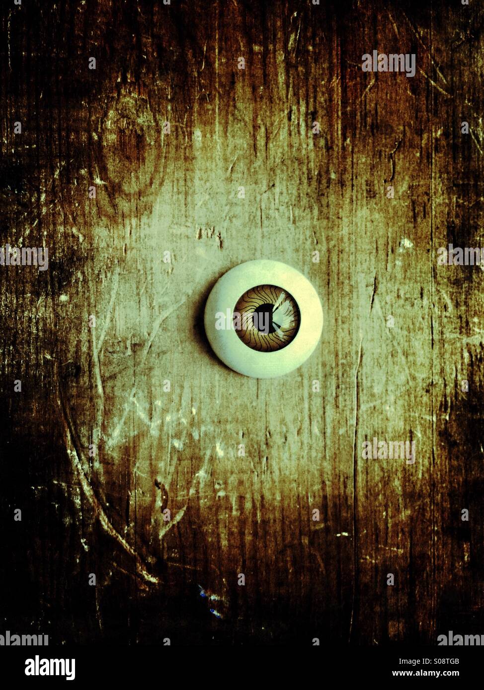 Plastic eye Stock Photo