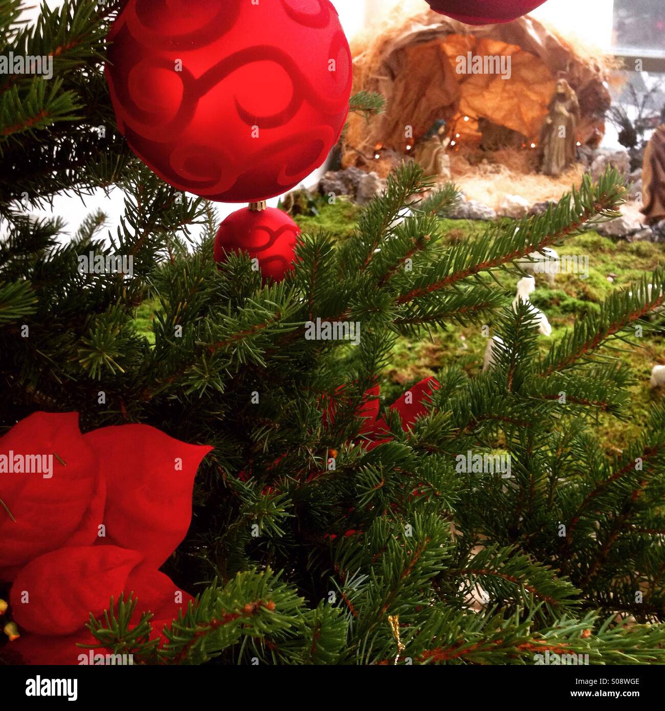 Christmas tree close up with christian figures in background Stock Photo