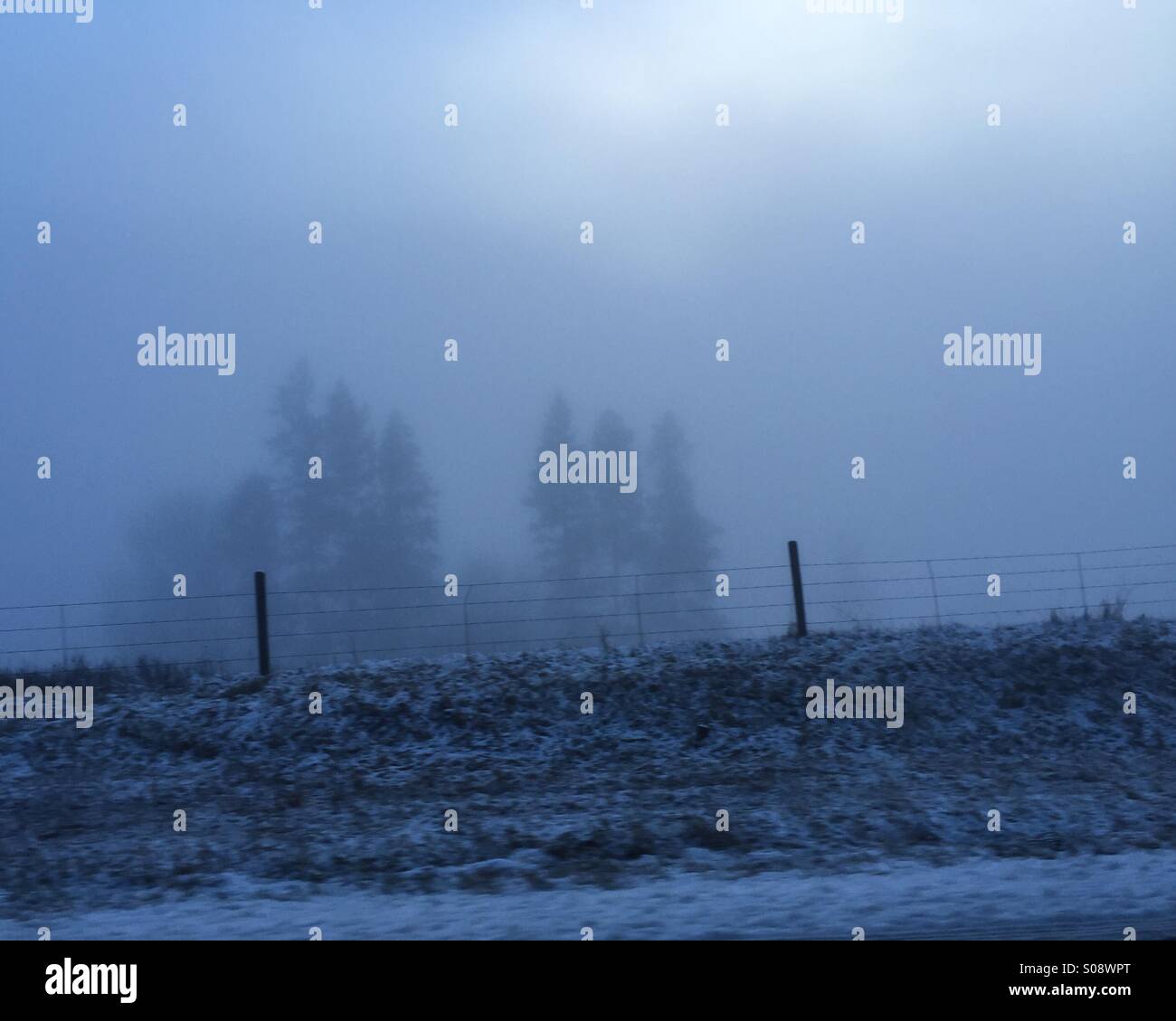 Winter landscape. Fog has swallowed up the trees in the background, with the sharp wire fence standing clearly up front. - Smartphone Captured Stock Image