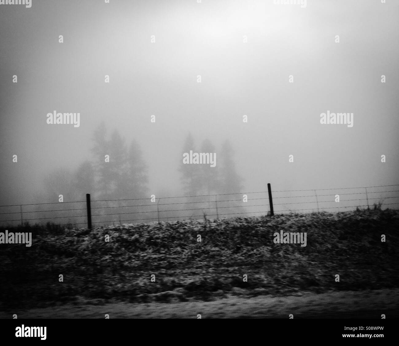 Winter landscape in black and white. Fog has swallowed up the trees in the background, with the sharp wire fence standing clearly up front. - Smartphone Captured Stock Image