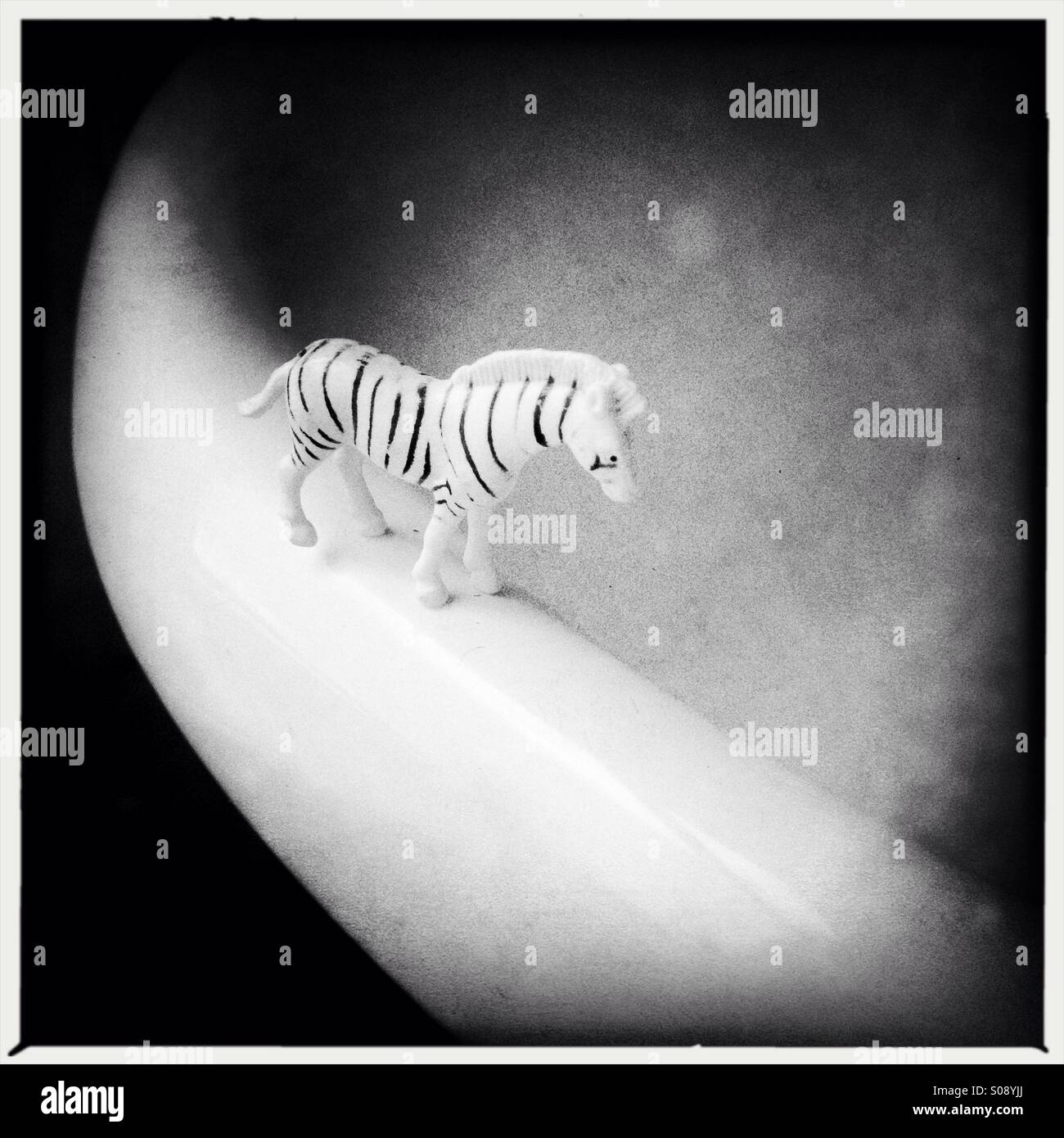 Toy Zebra - Smartphone Captured Stock Image