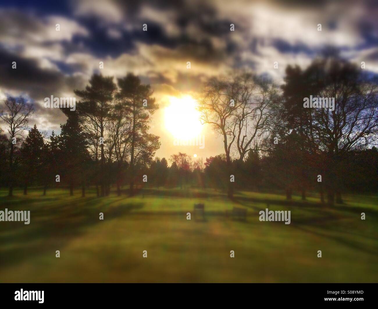 Sunrise through trees - Smartphone Captured Stock Image