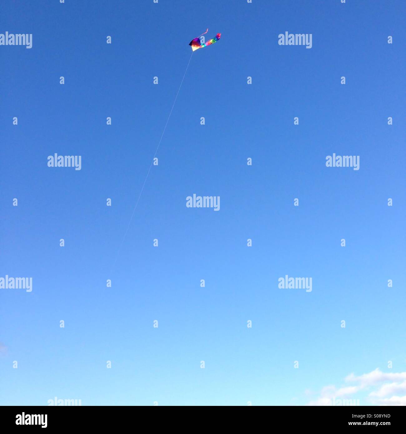 Kite - Smartphone Captured Stock Image