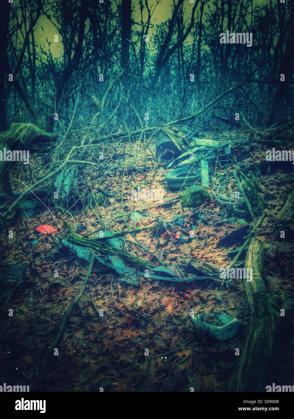 Garbage dump in the woods. - Smartphone Captured Stock Image Garbage dump in the woods. - Smartphone Captured Stock Image
