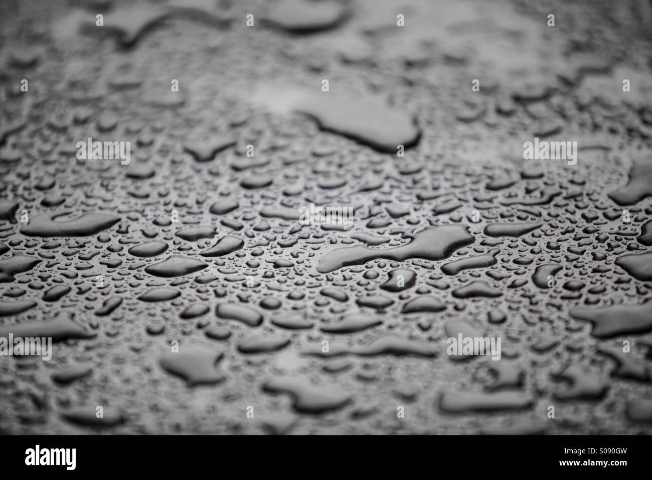 Surface and waterdrops Stock Photo