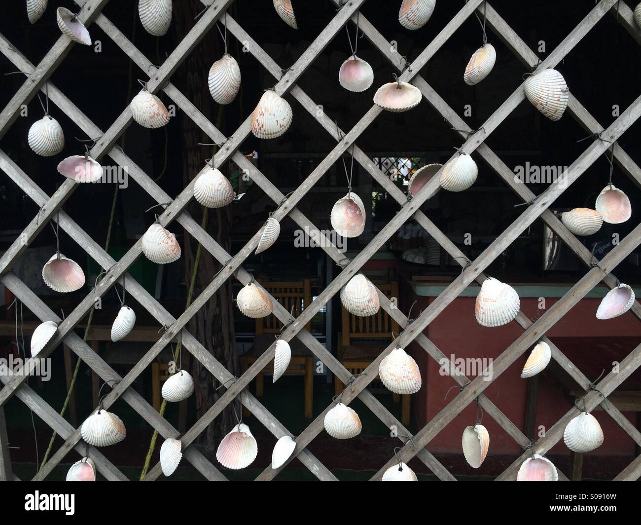 Seashells hanging from lattice wall Stock Photo