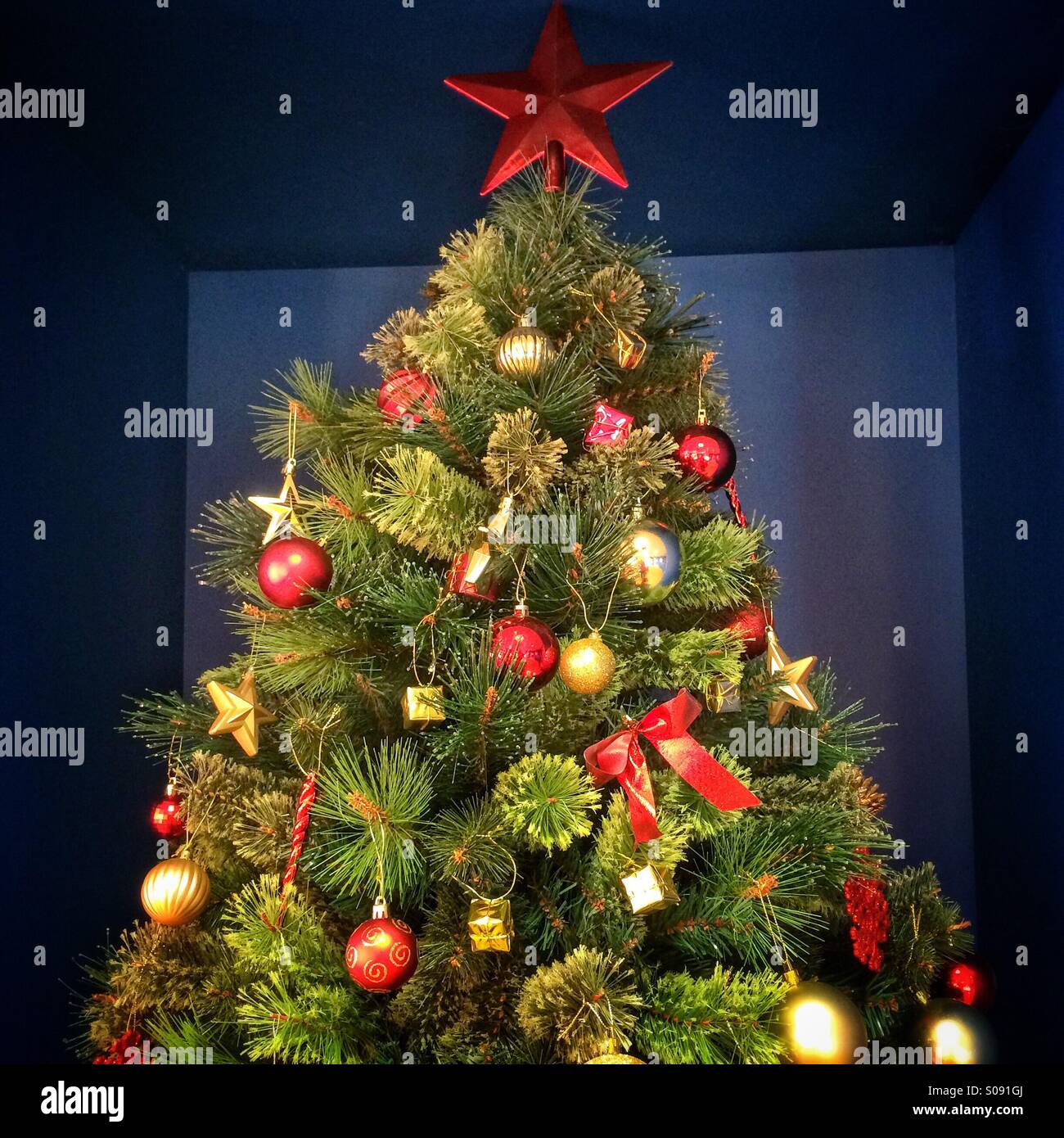 Christmas tree in a box - Smartphone Captured Stock Image